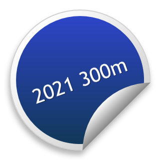2021 300m